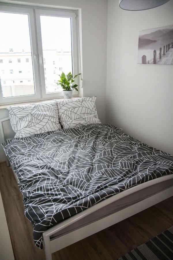 Apartament F&J Torun Exterior photo